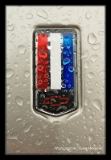 Camaro Logo